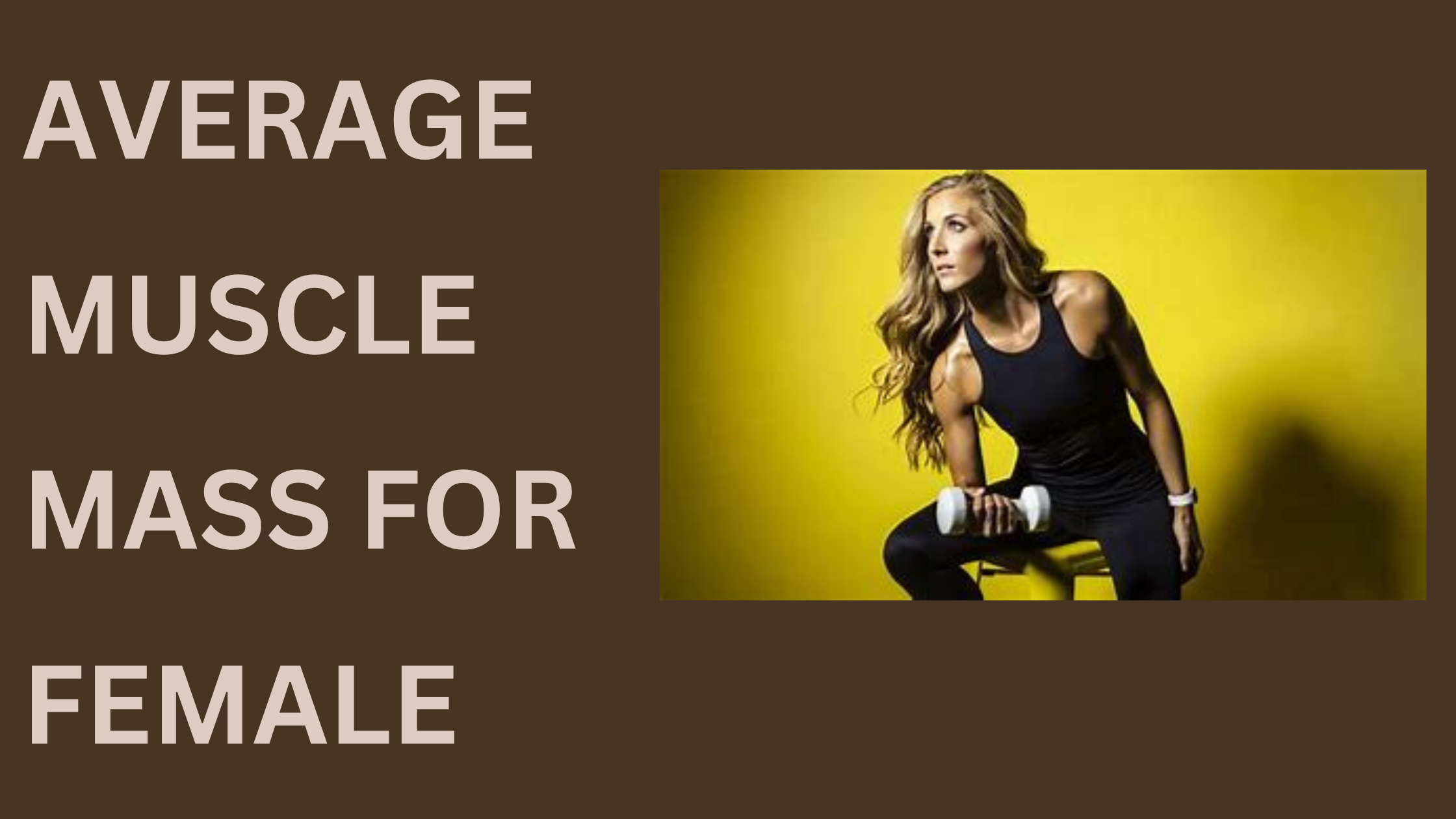 average muscle mass for female