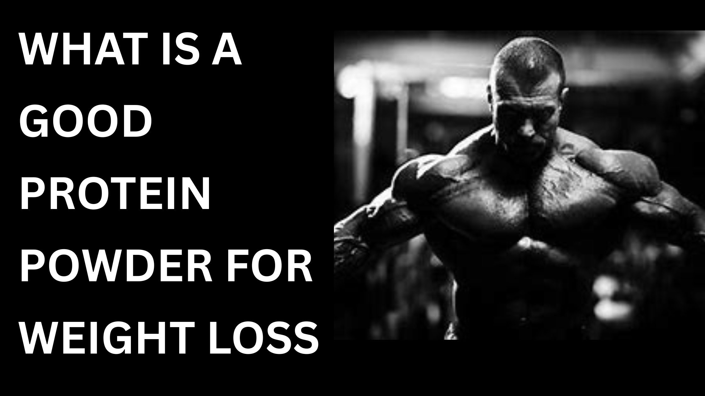 What is a good protein powder for weight loss